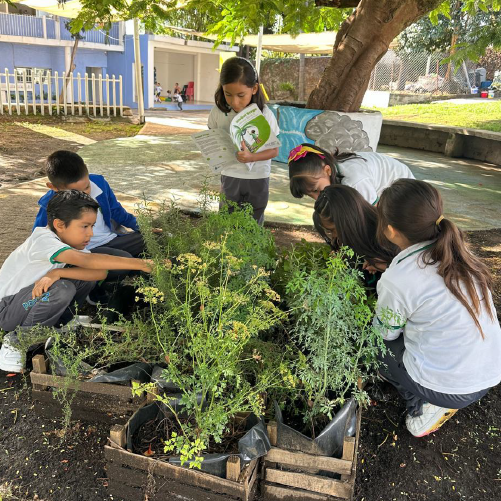 colegio potzanani Ecologia