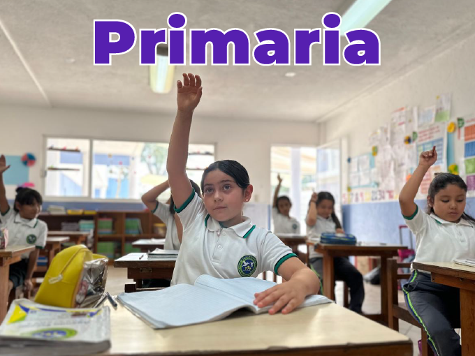 Colegio Potzanani Primaria